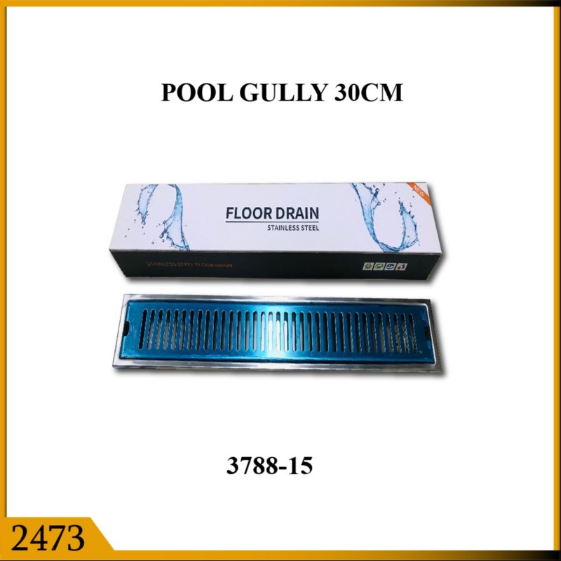 POOL GULLY 30CM (2473)